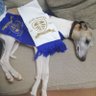 Glyn Gillard's profile picture