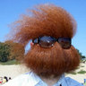 Profilbild von Tom Gentle