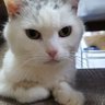 のの profil fotoğrafı