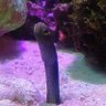 Фото профиля おさかなさん