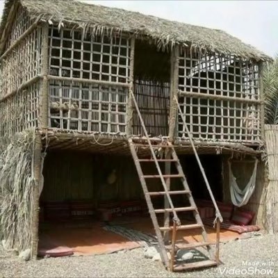 ibrahee88533086's profile picture