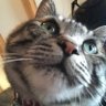 yamapochi's profile picture