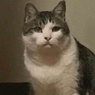 hinodepictures's profile picture