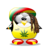JCB's profile picture