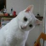 Фото профиля なおちゃん