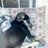 joann gira's profile picture