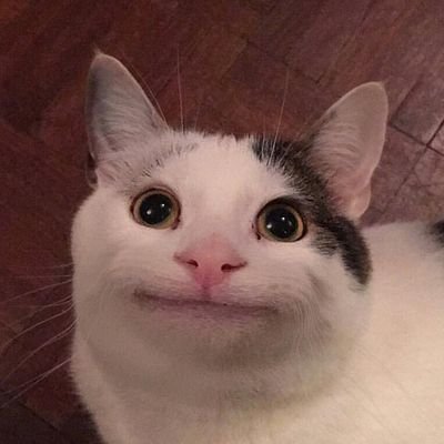 Болконский's profile picture