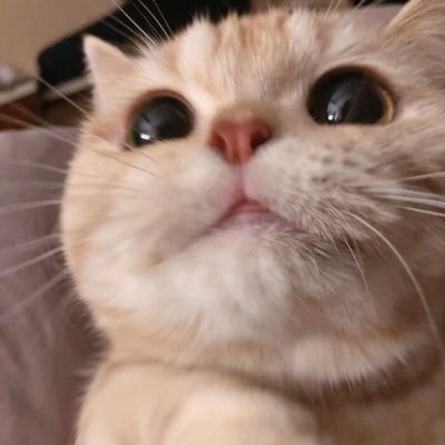 zhenzhong19's profile picture