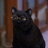 Salem X profil fotoğrafı
