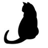 Profilbild von BlackCat