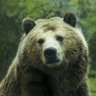 FA profil fotoğrafı