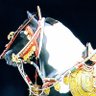 Фото профиля 二ノ宮です。
