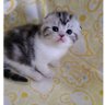 raica👒 profil fotoğrafı