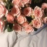 Фото профиля ايلاف