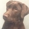 Profilbild von Ajay