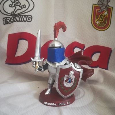 GRANATE IV REGIÓN 🇦🇹🇦🇹🇦🇹🇦🇹's profile picture