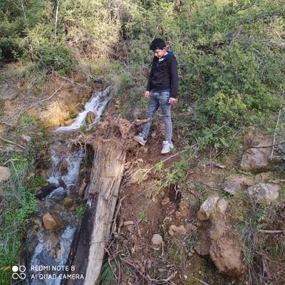 Yiit03173843's profile picture