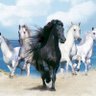 Фото профиля Ali