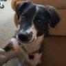 Deke's profile picture