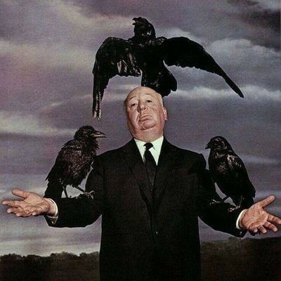 DiegoFi27933574's profile picture