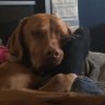 Profilbild von Jim