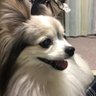 takachacha's profile picture