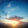 shuai1's profile picture