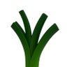 Feral Leek profil fotoğrafı