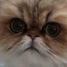 Profilbild von みのる