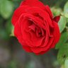 Фото профиля amdl3a