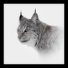 Фото профиля Gary jinks