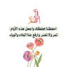Фото профиля Amr Elhennawy