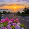 Фото профиля كود ايهيربTAH7446ونايس ونT57ليزر روكساT55