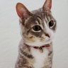 Фото профиля のりカラ