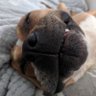 Strats's profile picture