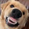 tpusk's profile picture