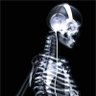 Profilbild von DR Wang