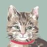 Profilbild von ねこおばあちゃん