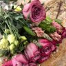 susan 的头像
