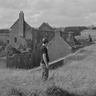 Фото профиля Colm Ó Maoldhomhnaigh