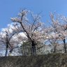 にしとも profil fotoğrafı