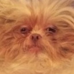 Olga_Skaskevich's profile picture