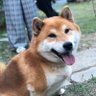 りー's profile picture