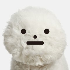 mameyudoufu's profile picture
