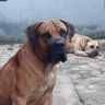 Musa Alhaji profil fotoğrafı