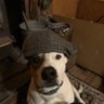 Matty's profile picture