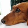 暇人's profile picture