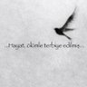 sonyazı's profile picture