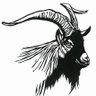@mfukunyuzi's profile picture