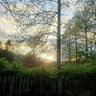 Фото профиля Jacob Haddix